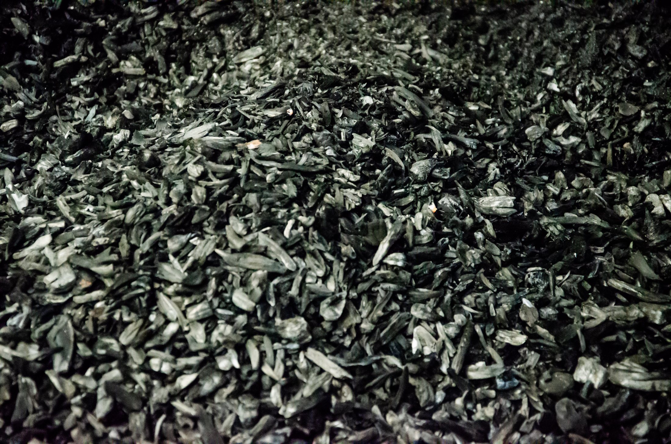 Close-up texture of finished carbon-rich biochar material